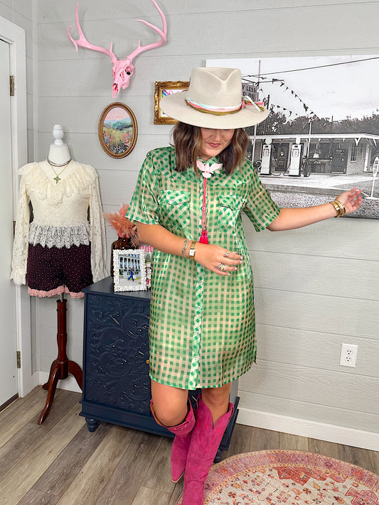 Jolene Gingham Sheer Dress