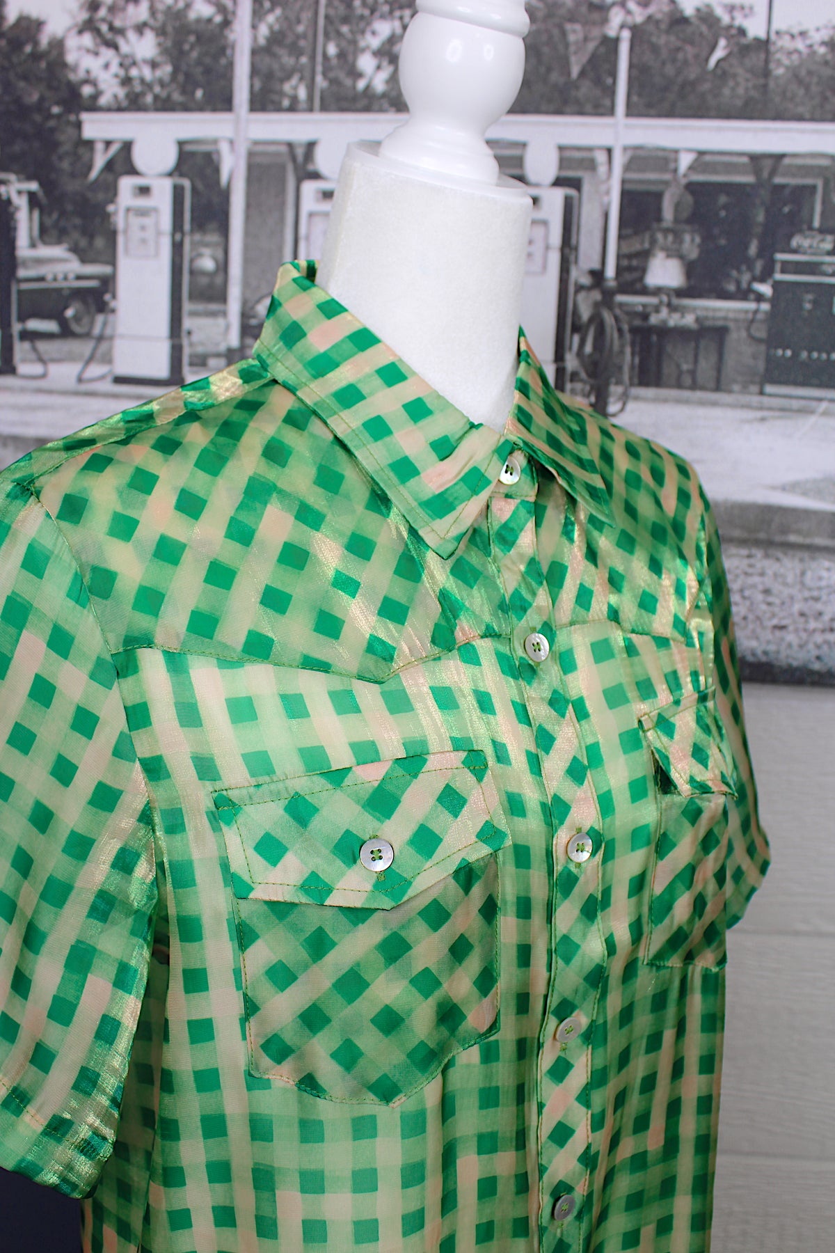 Jolene Gingham Sheer Dress